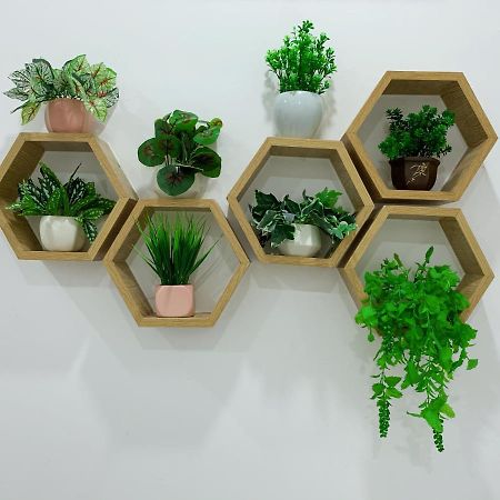Bee Homestay Tuy Hoa Luaran gambar